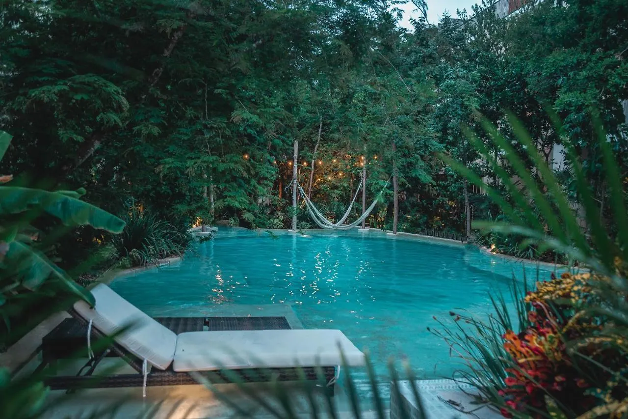 Amazing New Pent House With Private Pool!! Lägenhet Tulum