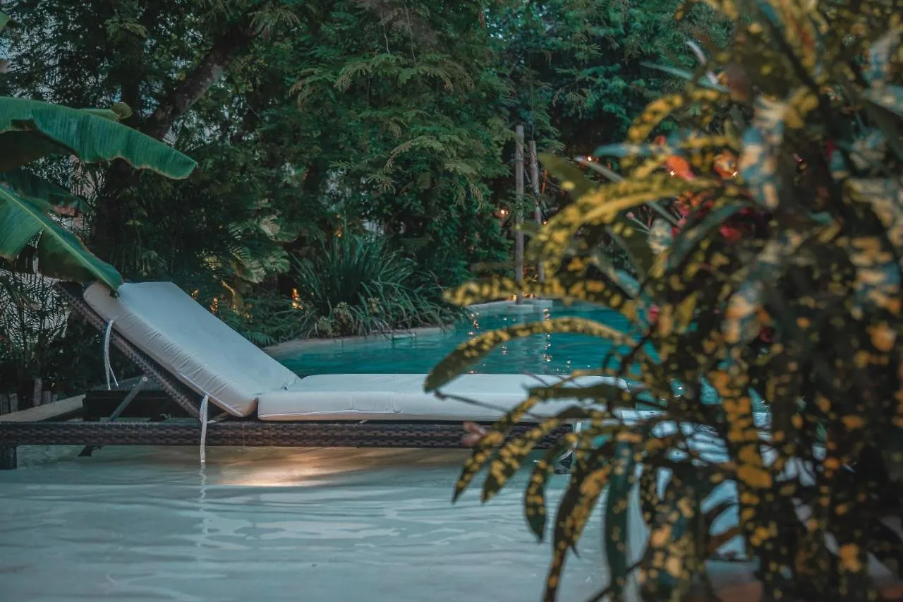 Amazing New Pent House With Private Pool!! Lägenhet Tulum Mexiko