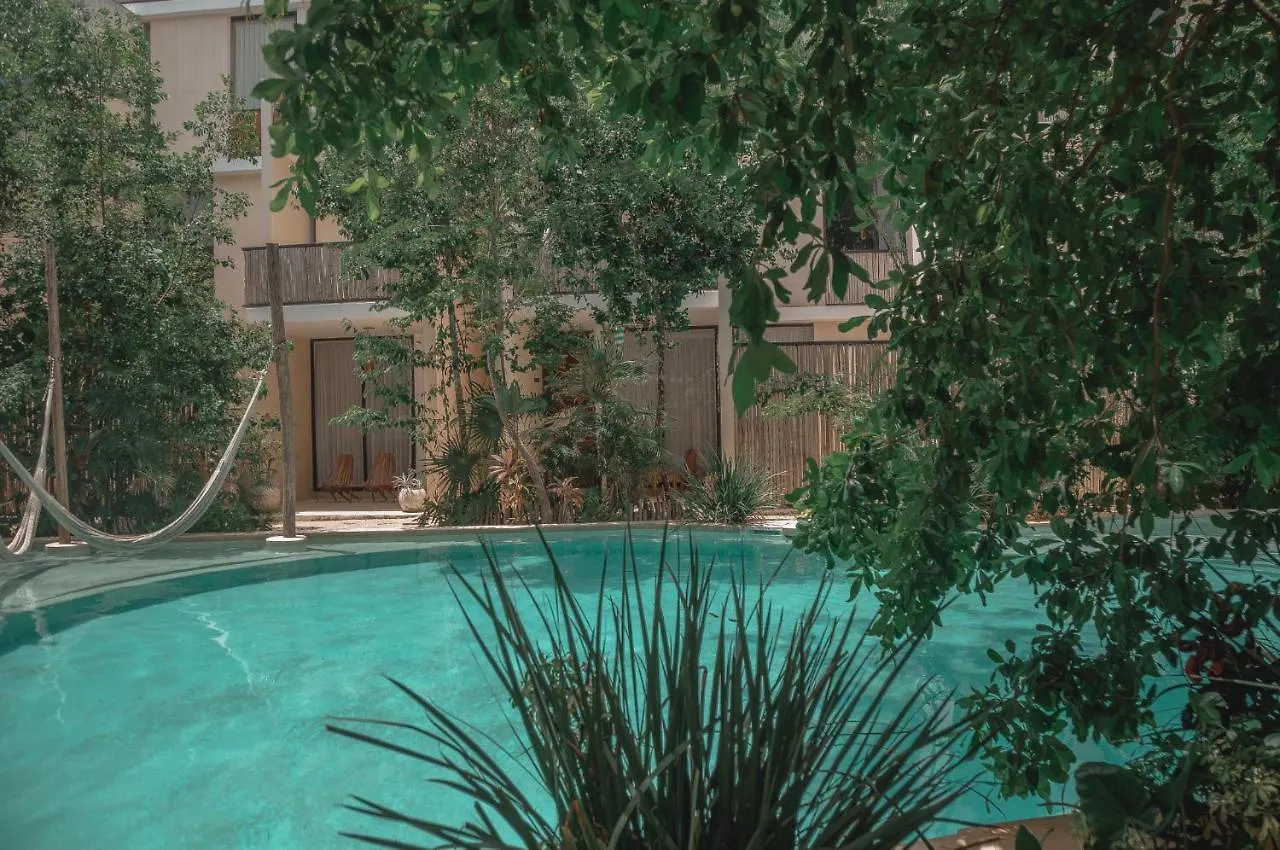 Amazing New Pent House With Private Pool!! Lägenhet Tulum