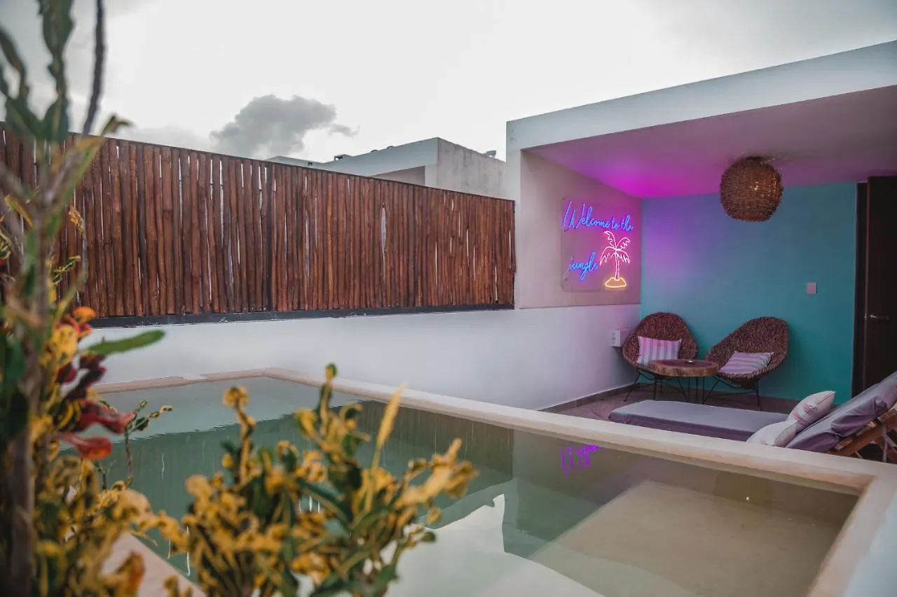 Amazing New Pent House With Private Pool!! Apartment Tulum